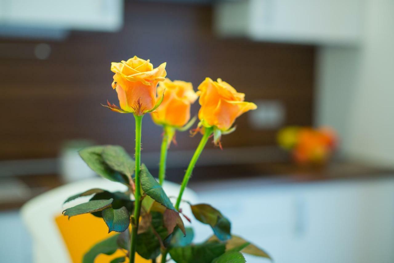 Apartments Miki'S Блед Екстер'єр фото